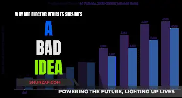 Electric Vehicle Subsidies: Unnecessary and Harmful