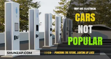 Why Electric Cars Haven't Gained Mainstream Popularity Yet: Key Factors Explained