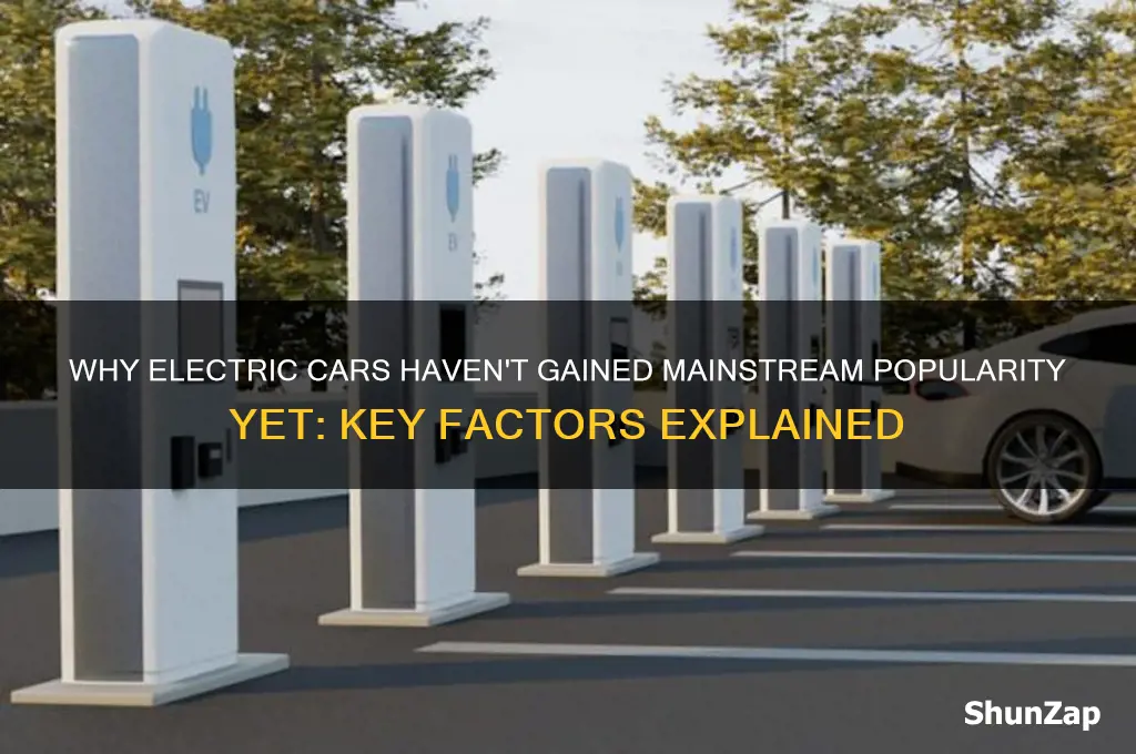 why are electrical cars not popular