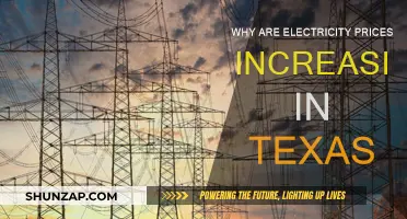 Texas Electricity Prices: Why the Spike?