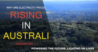 Australia's Electricity Crisis: What's Driving Price Surge?