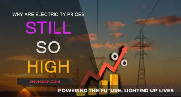 Energy Crisis: Why Are Electricity Prices Skyrocketing?