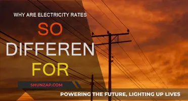 Electricity Rates: Why Such a Big Difference?