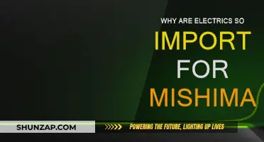 Electric Evolution: Mishima's Strategic Advantage
