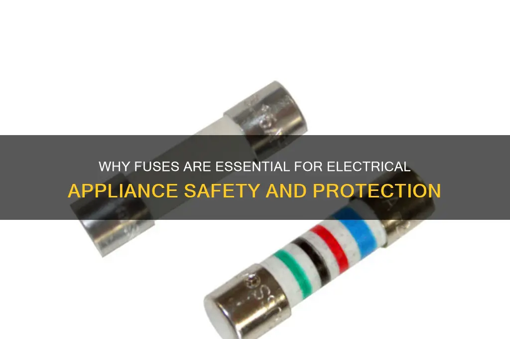 why are fuses used in electrical appliances