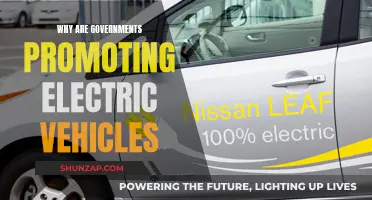 Governments Push for Electric Vehicles: Incentives and Infrastructure