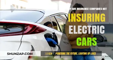 Electric Vehicles Uninsured: Challenges Facing Insurance Companies Today