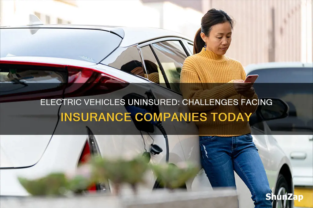 why are insurance companies not insuring electric cars