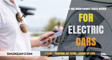 Electric Car Maintenance Costs: Why They're Higher Than Traditional Vehicles