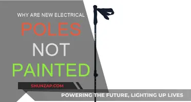 Electrical Poles: Unpainted, Yet Effective