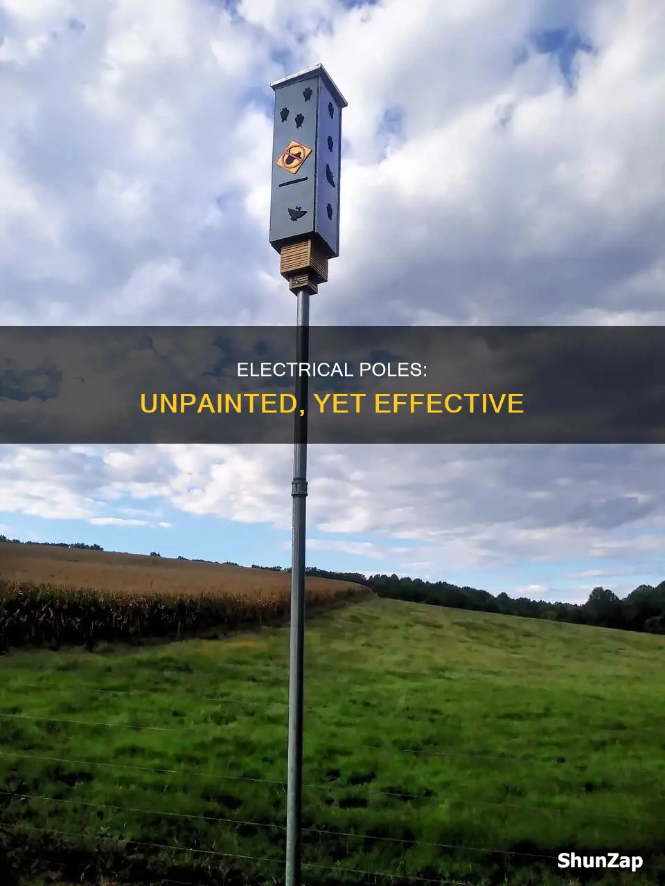 why are new electrical poles not painted