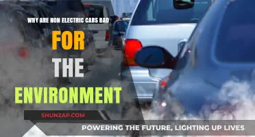 Non-Electric Cars: Environmental Harm and Sustainable Alternatives Explained