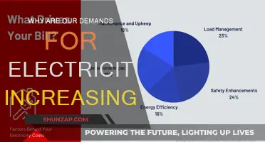 Electricity Demands: Why Our Needs Keep Growing