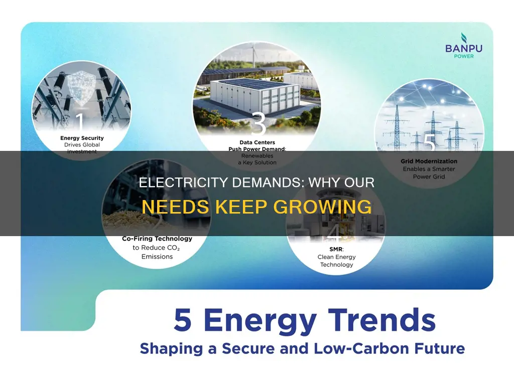 why are our demands for electricity increasing
