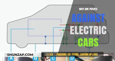 Why Electric Cars Face Resistance: Uncovering Common Concerns and Misconceptions
