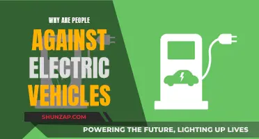 Electric Vehicles: Resistance to Change and Progress