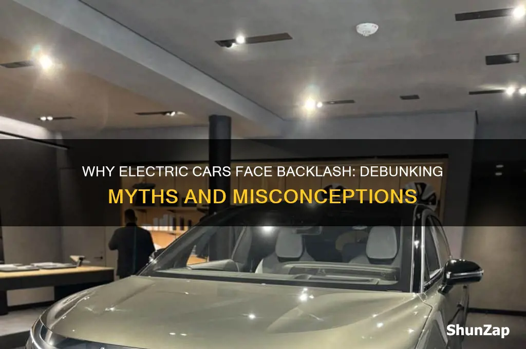 why are people attacking electric cars