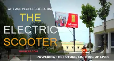 The Electric Scooter Craze: Why the Sudden Interest?