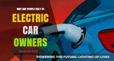 Why Do Some People Criticize Electric Car Owners?