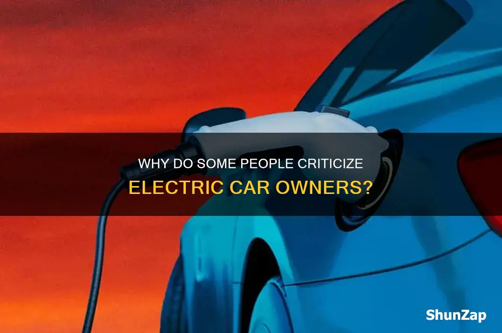 why are people ugly to electric car owners