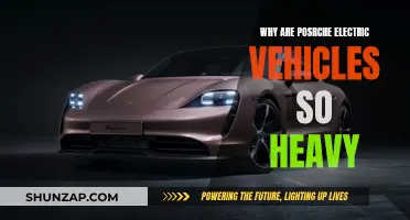 Porsche Electric Vehicles: Heavy Machinery, Light on Emissions
