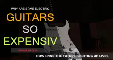Electric Guitar Pricing: Craftsmanship and Tonewoods Drive Costs