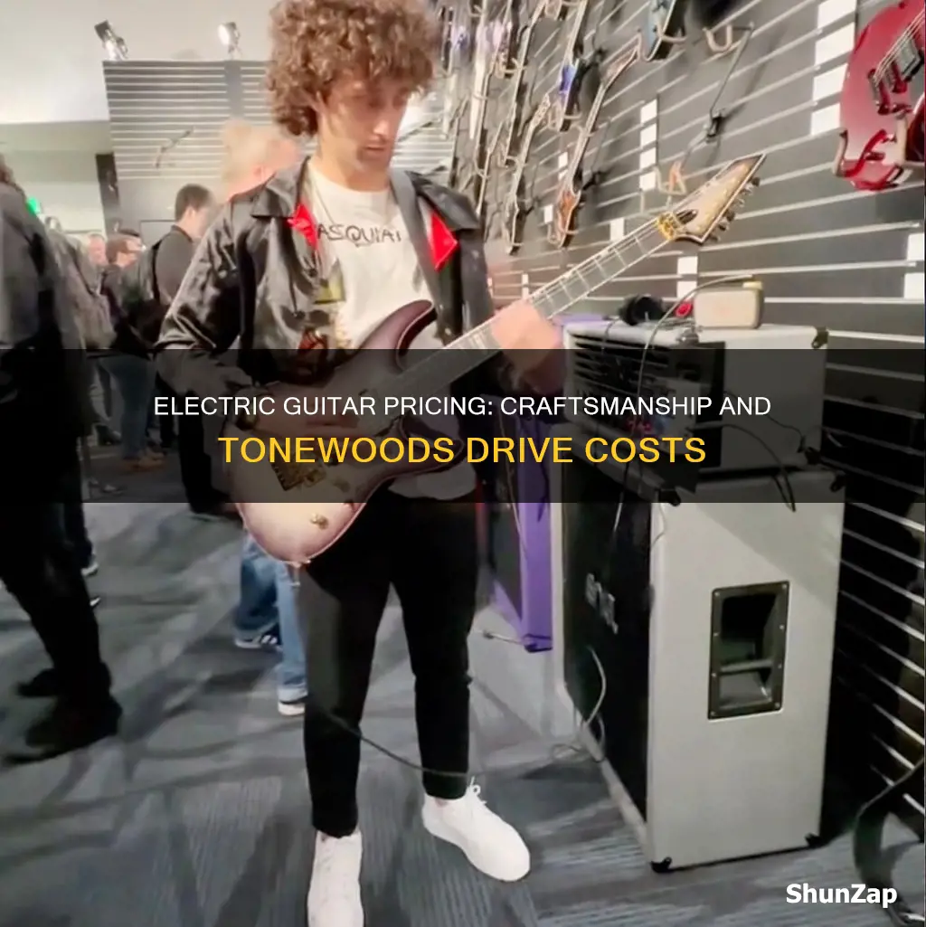 why are some electric guitars so expensive