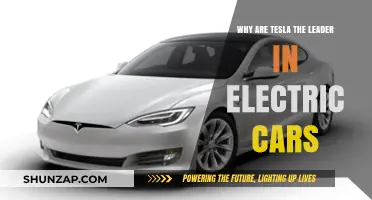 Tesla's Dominance: Unraveling Their Leadership in Electric Vehicles