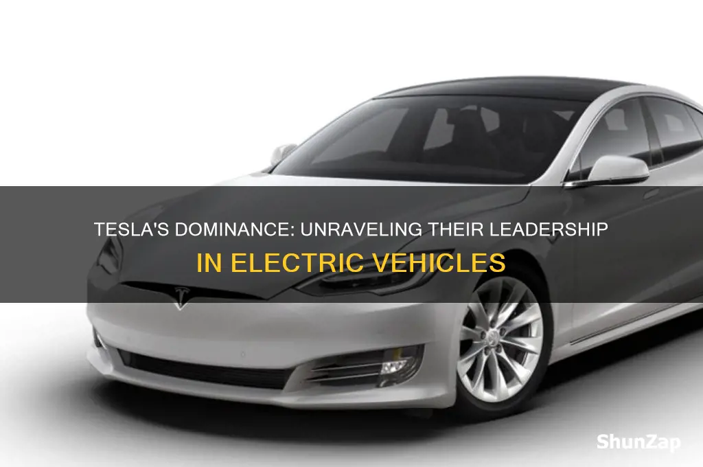 why are tesla the leader in electric cars