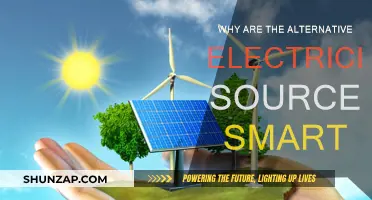 Alternative Energy Sources: Smart, Sustainable, and Necessary