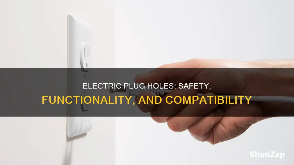why are the holes in electric plugs