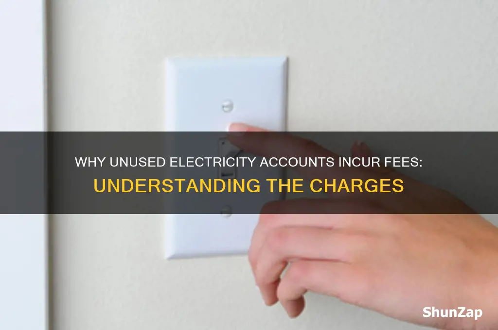 why are there fees for not using electr