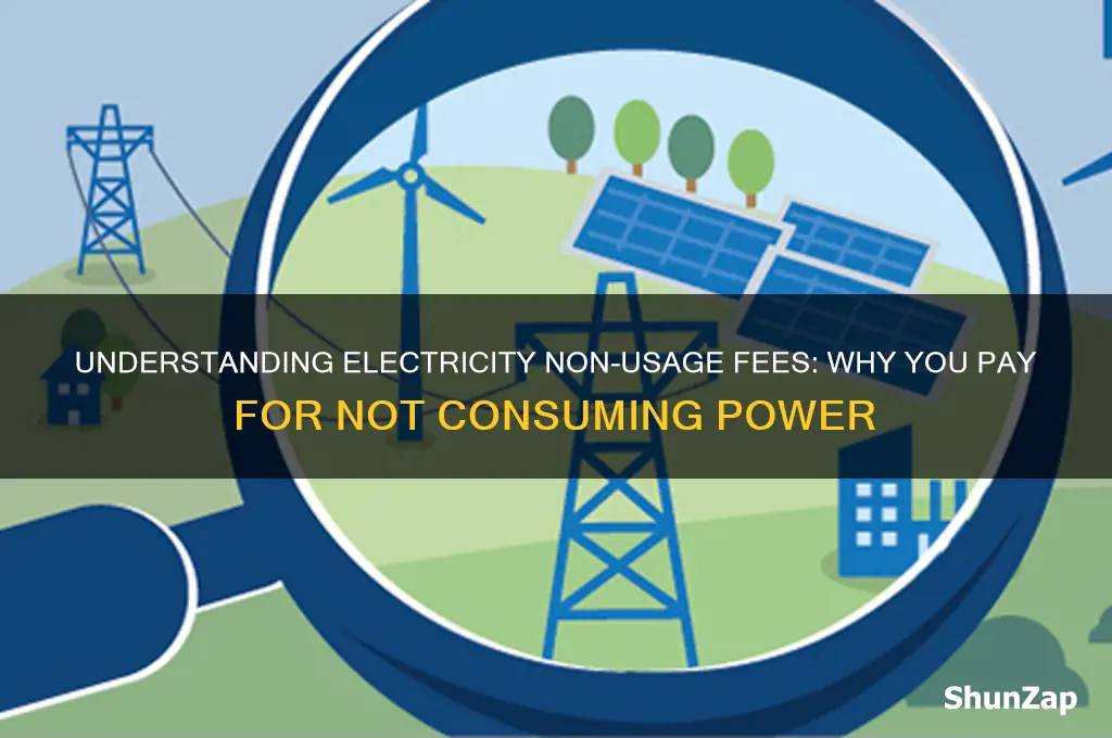 why are there fees for not using electricity