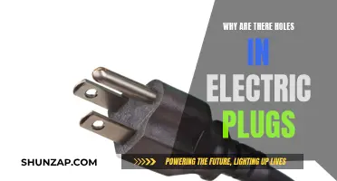 Electric Plug Holes: Safety and Functionality Explained