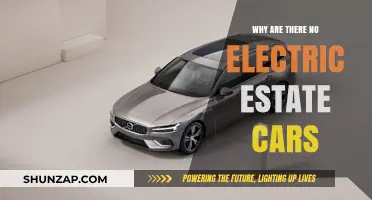 The Missing Link: Why Electric Estate Cars Remain Elusive