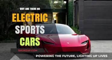 Why Electric Sports Cars Remain a Rare Sight on Roads