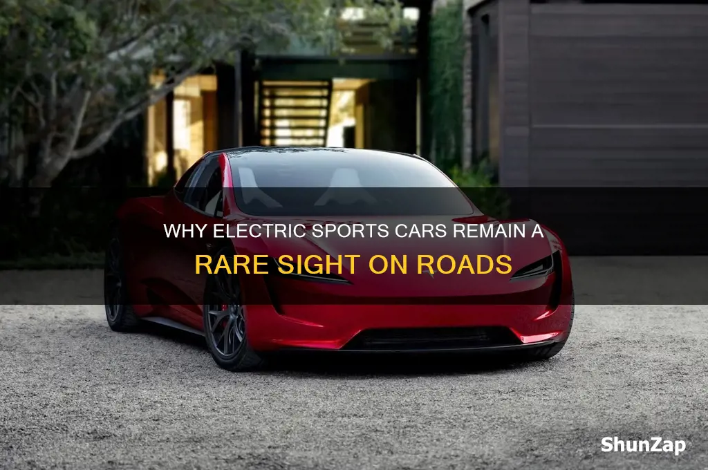 why are there no electric sports cars