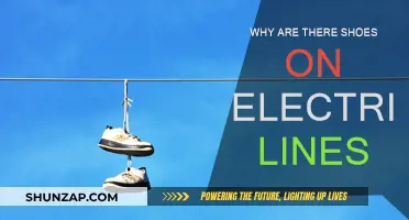 Shoes on Electric Wires: A Mystery Solved