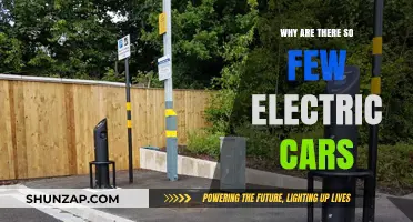 Why Electric Cars Remain Rare: Barriers to Mass Adoption Explained