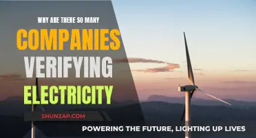 Electricity Verification: Why Are So Many Companies Doing It?