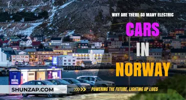 Norway's Electric Revolution: Uncovering the Surge in Eco-Friendly Vehicles