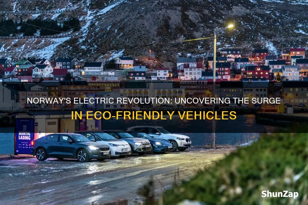 why are there so many electric cars in norway