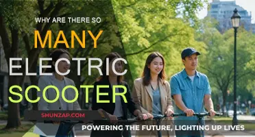 Electric Scooters: The New Normal?