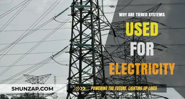 Tiered Electricity Systems: Balancing Cost, Consumption, and Sustainability