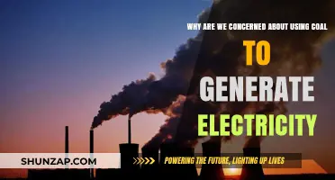 Coal's Dark Legacy: Environmental and Health Concerns in Electricity Generation