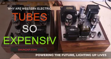 Western Electric Tubes: Expensive but Worth It?