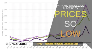 Electricity Wholesale Prices: Why the Low Rates?