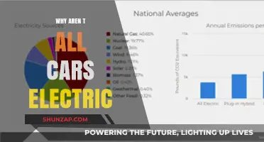 Why Aren't All Cars Electric Yet? Exploring the Barriers to EV Dominance