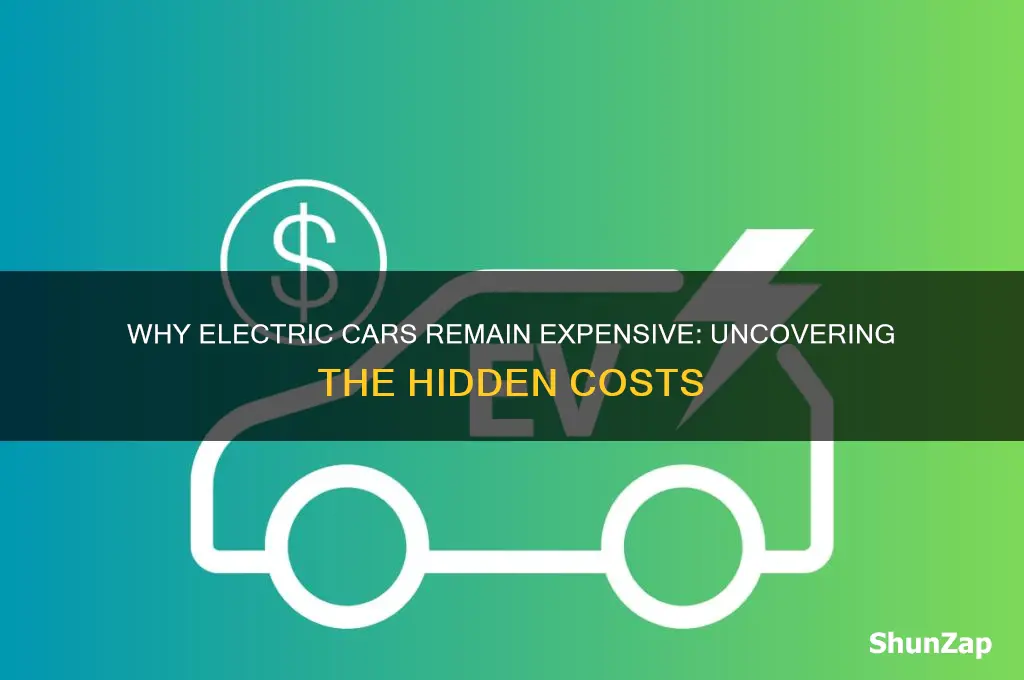 why aren t electric cars cheaper