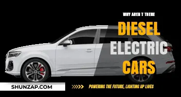 Why Aren't Diesel-Electric Hybrid Cars Dominating the Market?